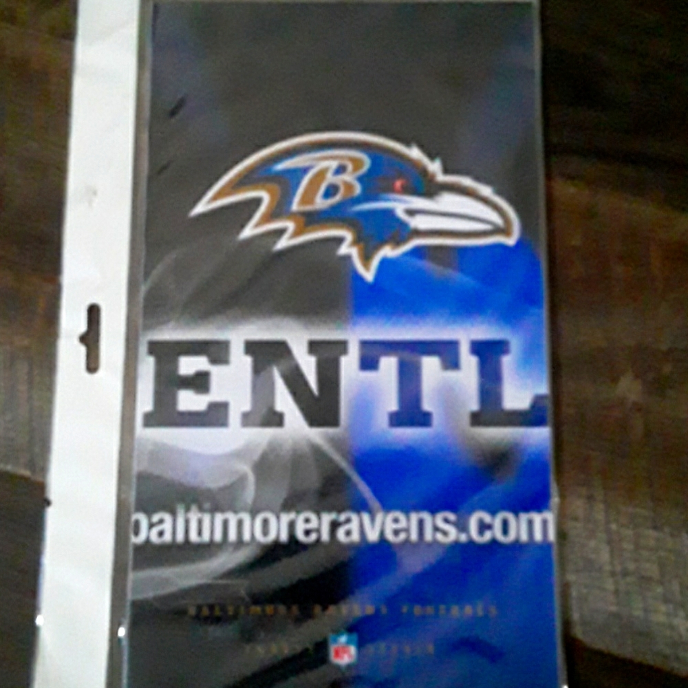 Ravens Xbox one Baltimore eagles skin